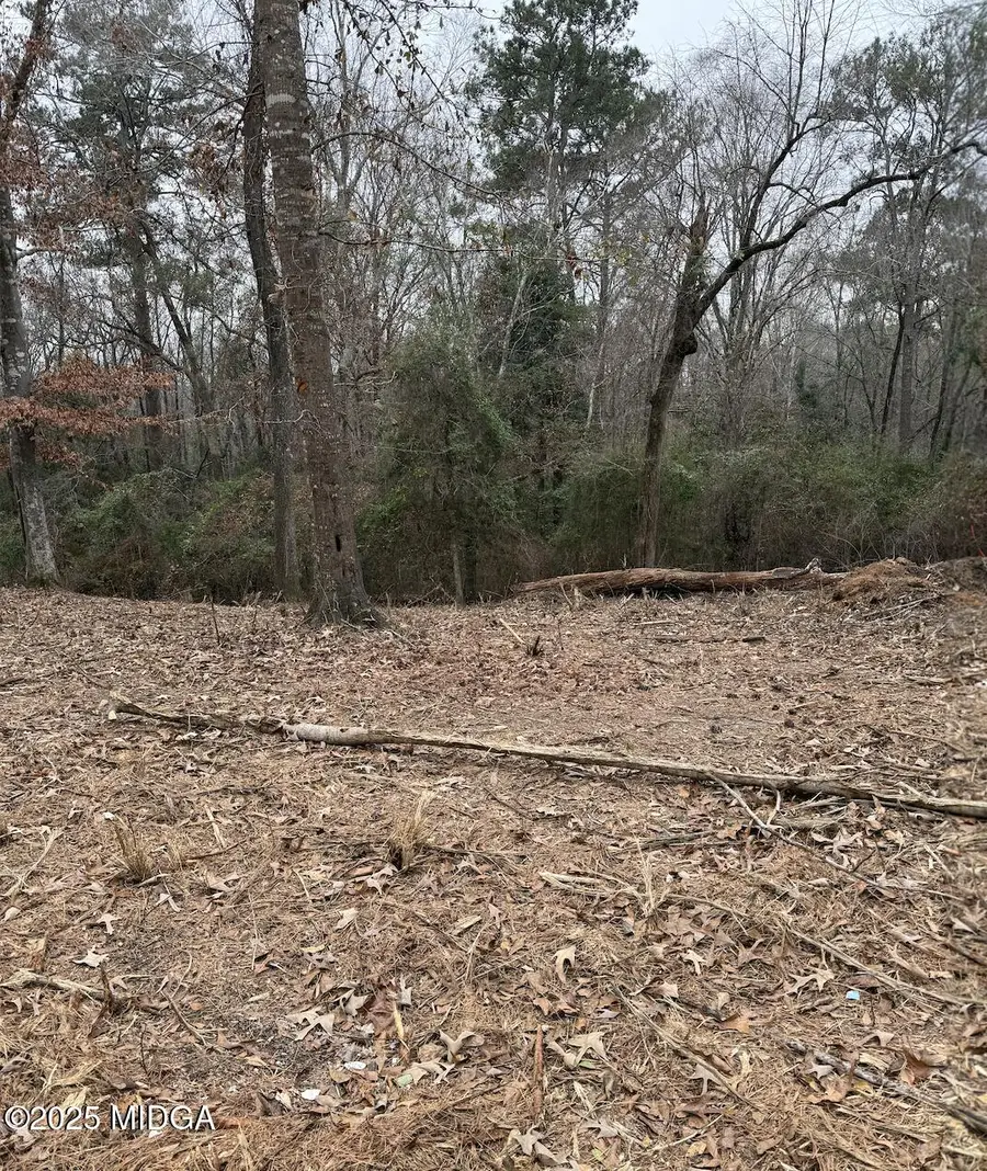 5540 Janeru Circle, Macon, GA 31216 - #2