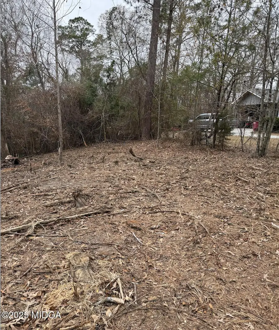 5540 Janeru Circle, Macon, GA 31216 - #3