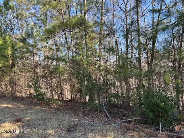 lot 40 Rivers Edge Drive, Forsyth, GA 31029 - #2