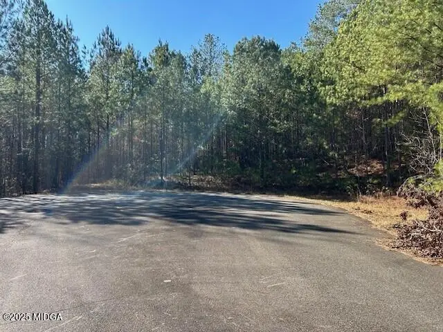 lot 40 Rivers Edge Drive, Forsyth, GA 31029 - #3