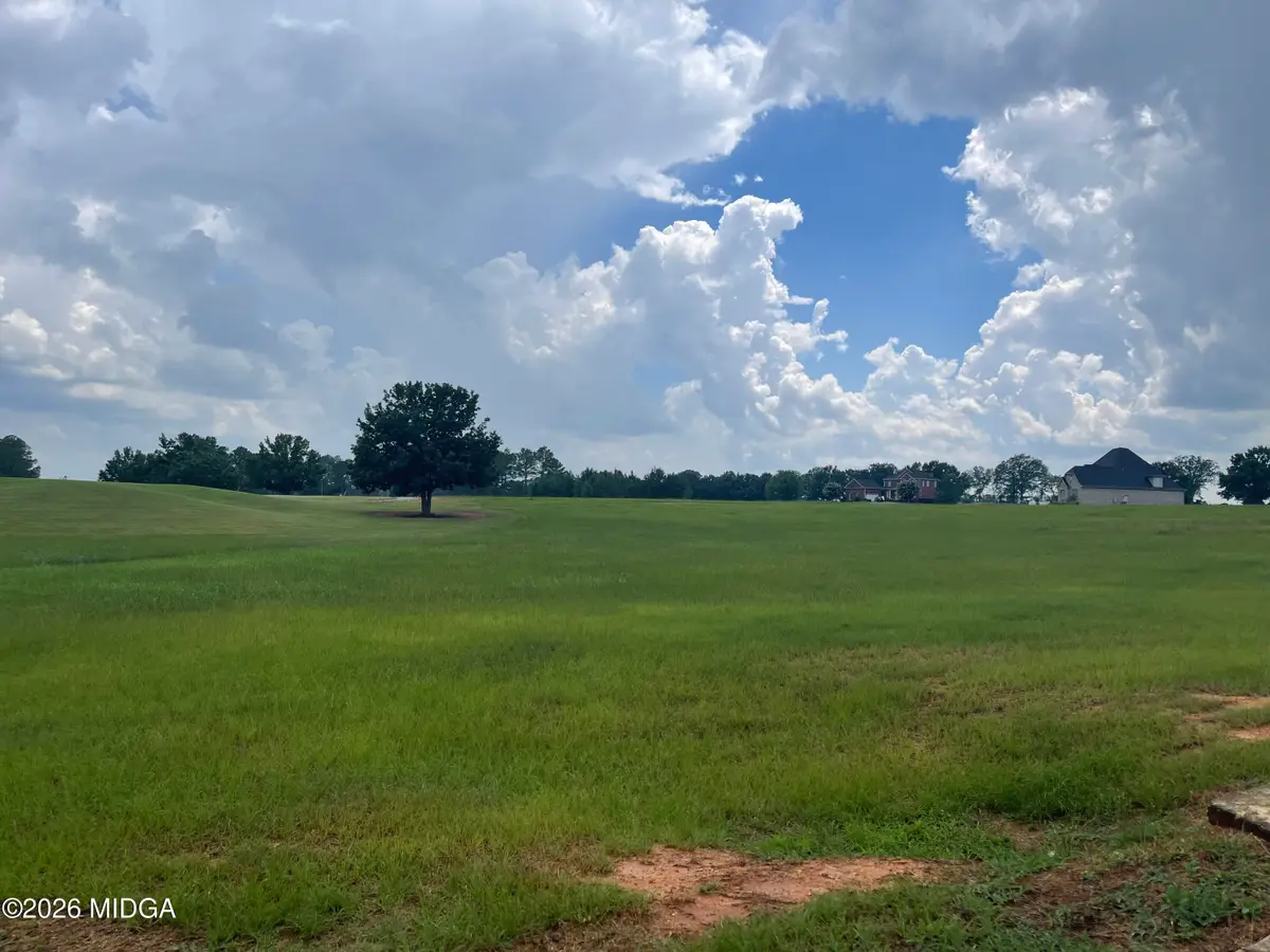 lot 44 Crabapple Dr. Drive, Hawkinsville, GA 31036 - #1