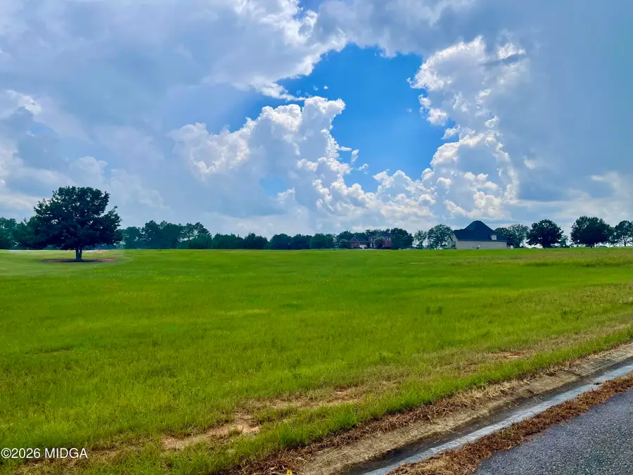 lot 44 Crabapple Dr. Drive, Hawkinsville, GA 31036 - #2