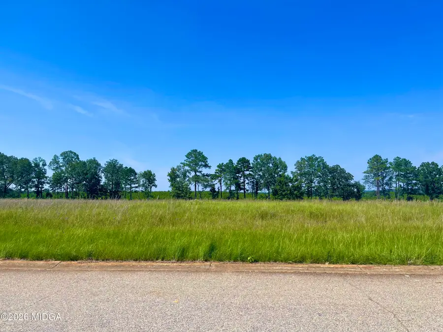 lot 44 Crabapple Dr. Drive, Hawkinsville, GA 31036 - #3