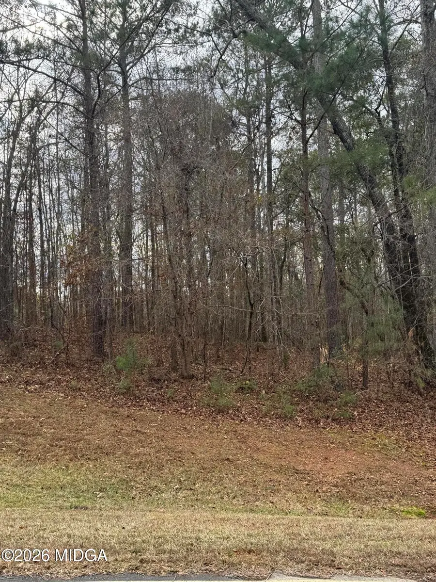 207 Forest Pointe Drive, Forsyth, GA 31029 - #3