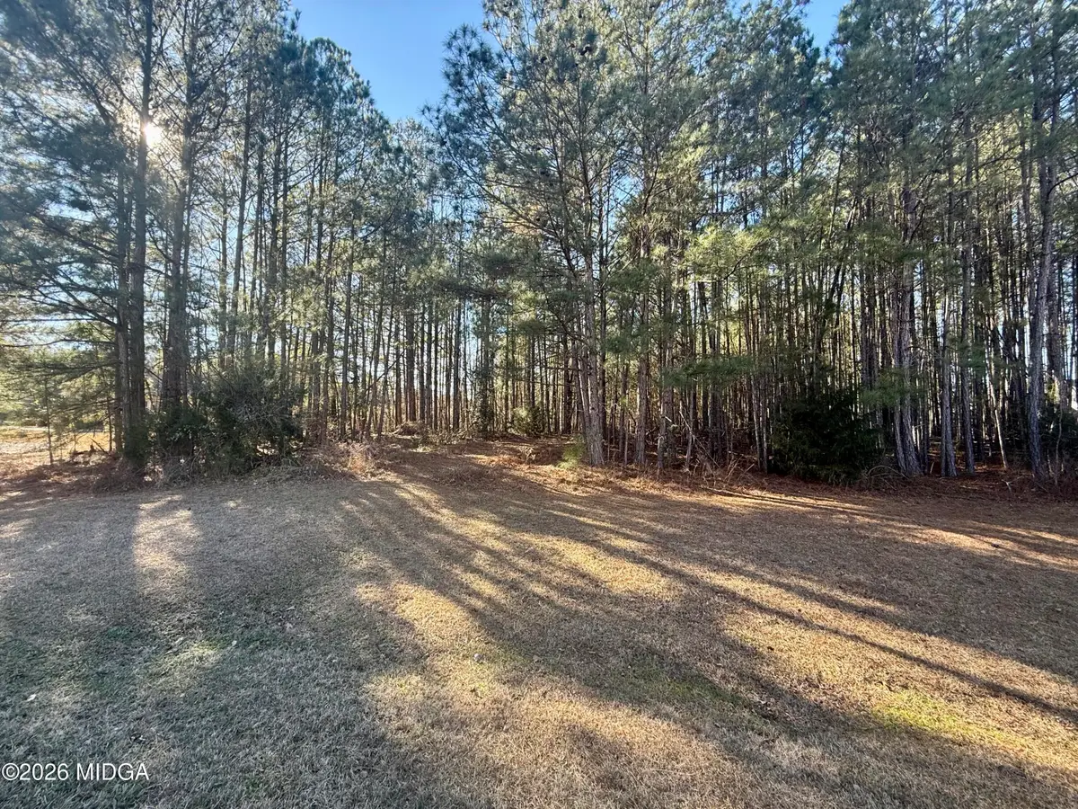 303 Freedom Drive, Forsyth, GA 31029 - #1