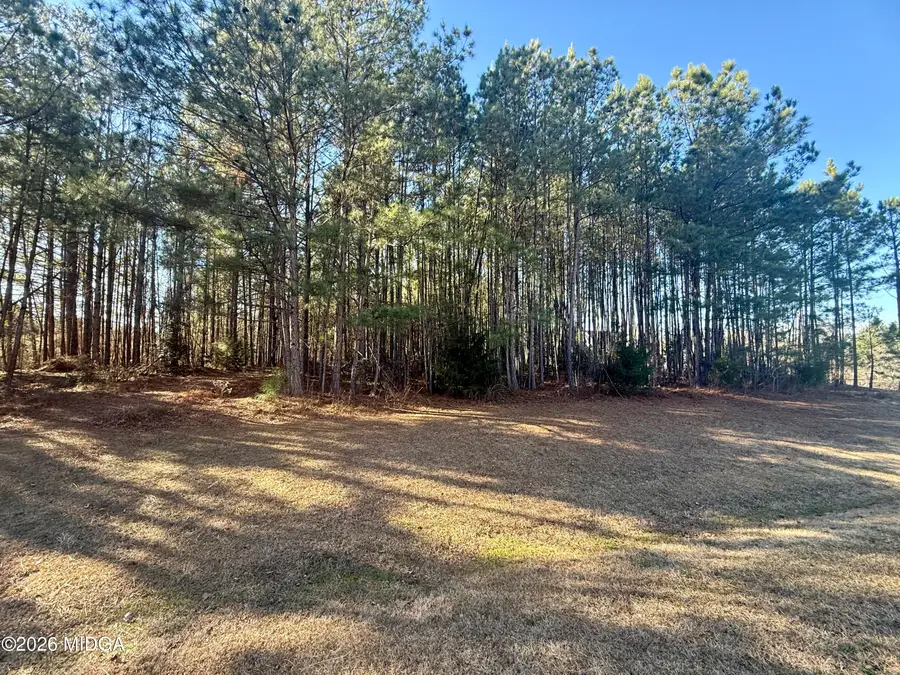 303 Freedom Drive, Forsyth, GA 31029 - #2