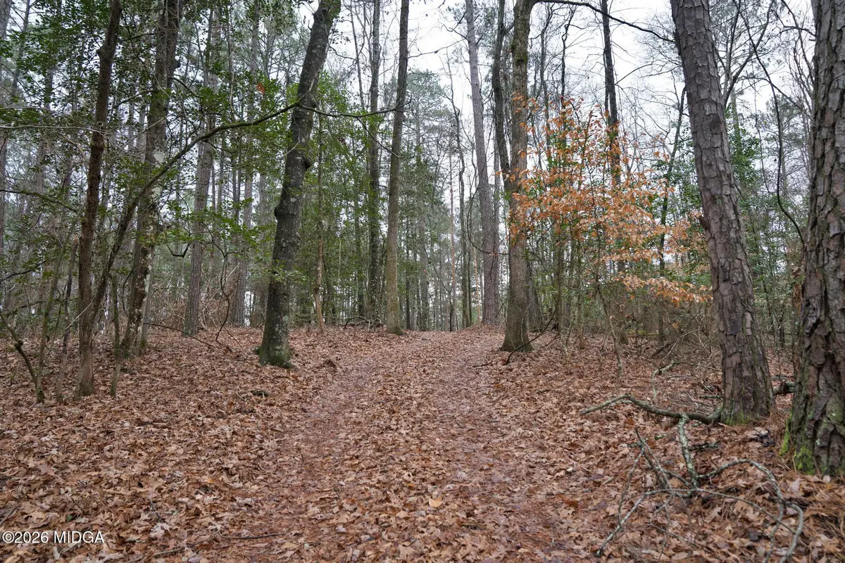 0 42 South S, Forsyth, GA 31029 - #1