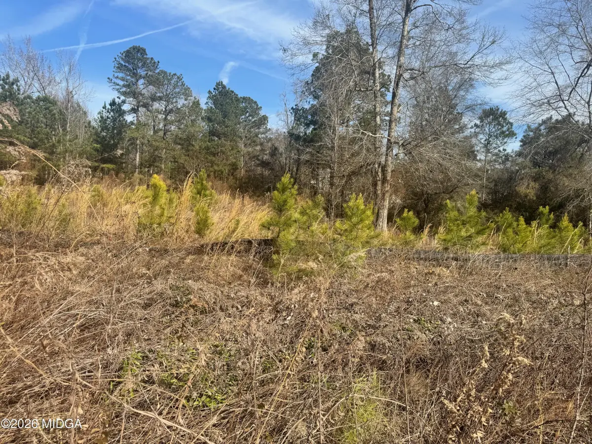 411 Big Oak Circle, Lizella, GA 31052 - #1