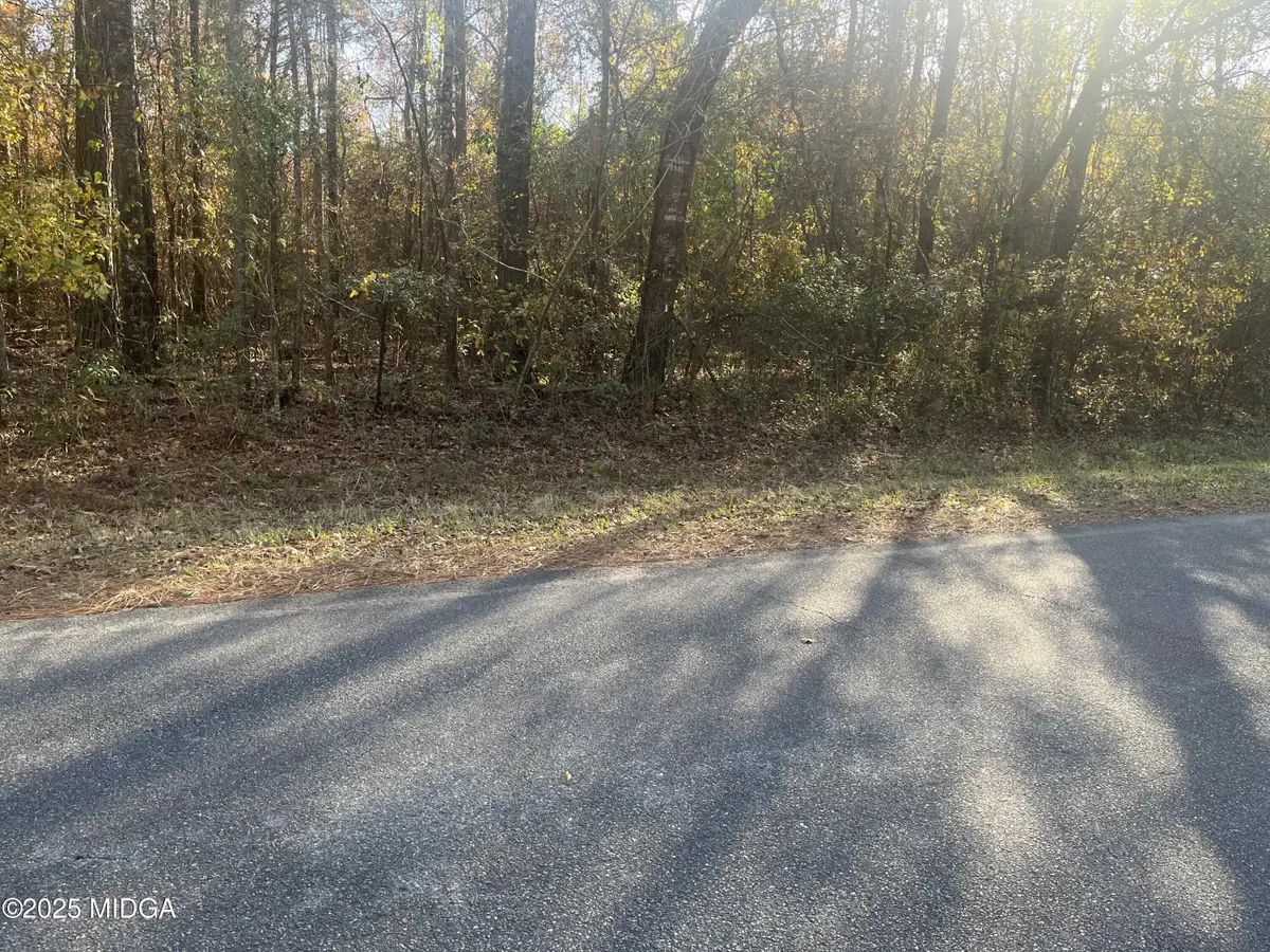 0 Al Court, Jeffersonville, GA 31044 - #1