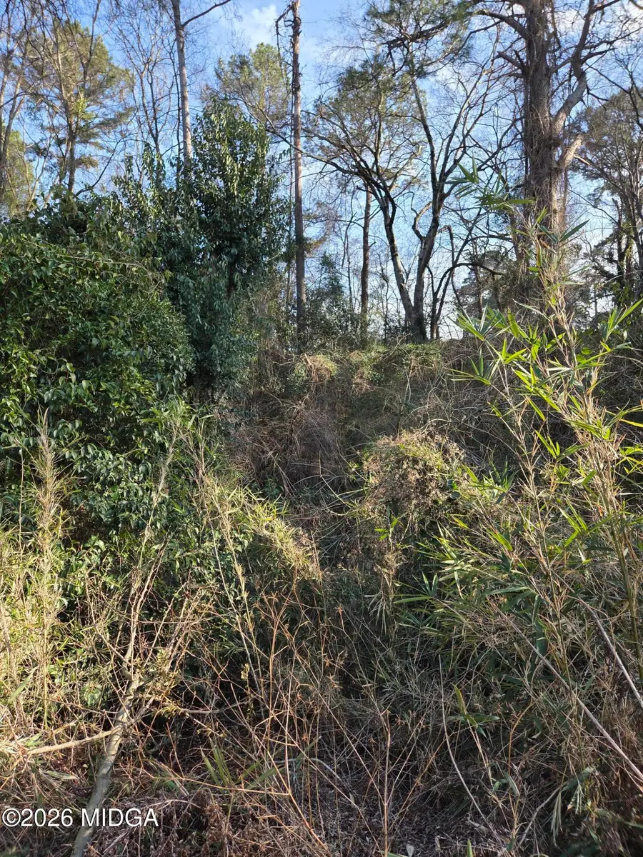 1987 Long Ridge Drive, Macon, GA 31211 - #3