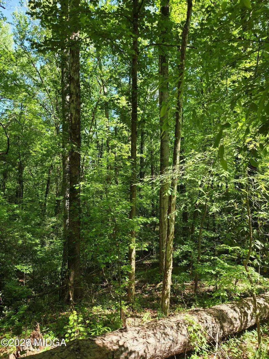 1898 Wood Valley Road, Macon, GA 31211 - #2