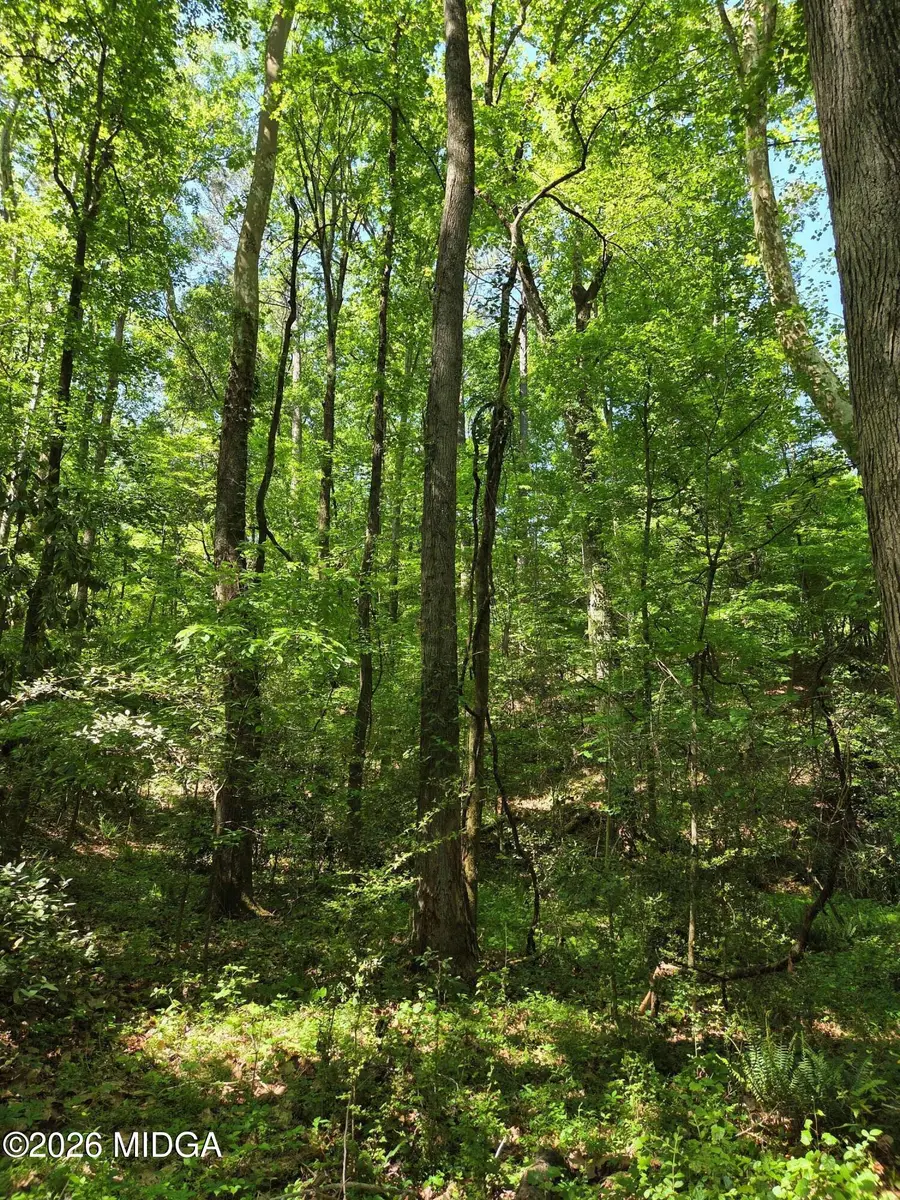 1898 Wood Valley Road, Macon, GA 31211 - #3