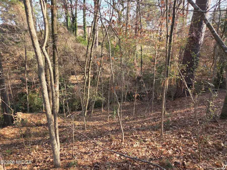 1971 Long Ridge Drive, Macon, GA 31211 - #2