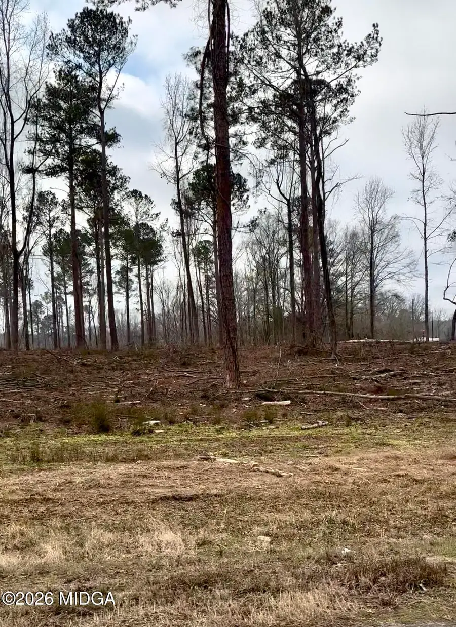 8290 Lower Thomaston Road, Lizella, GA 31052 - #3