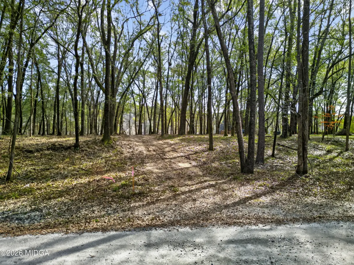 Lot 43 Rivermist Road, Juliette, GA 31046 - #1