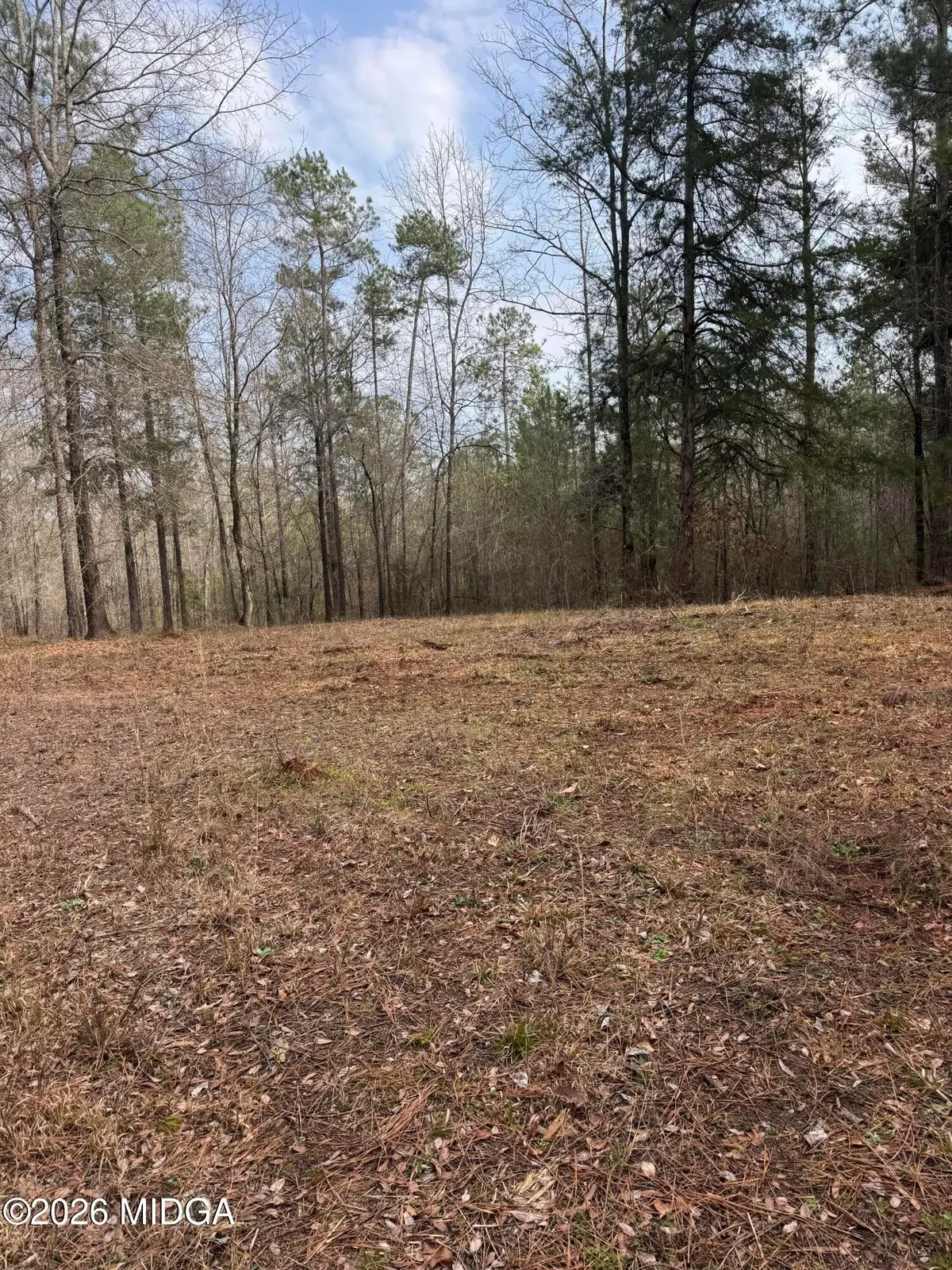 0 Highway 87, Juliette, GA 31046 - #1