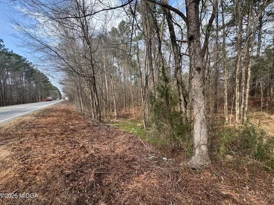 0 Highway 87, Juliette, GA 31046 - #3