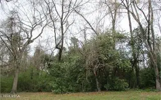 3297 Stinsonville Road, Macon, GA 31204