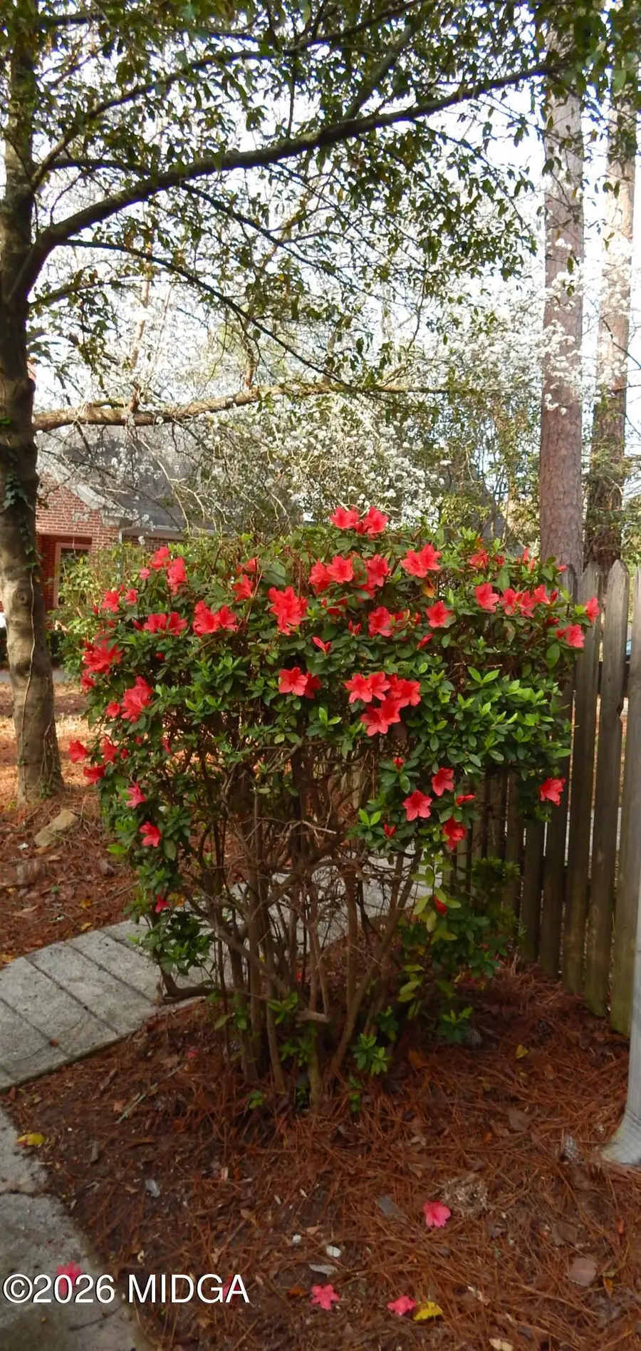 862 Parkview Drive, Macon, GA 31211 - #3