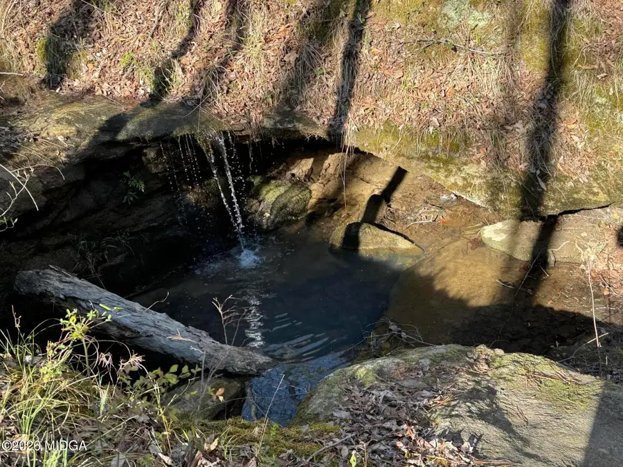 0 Pate Road, Culloden Bolingbroke, GA 31029 - #2