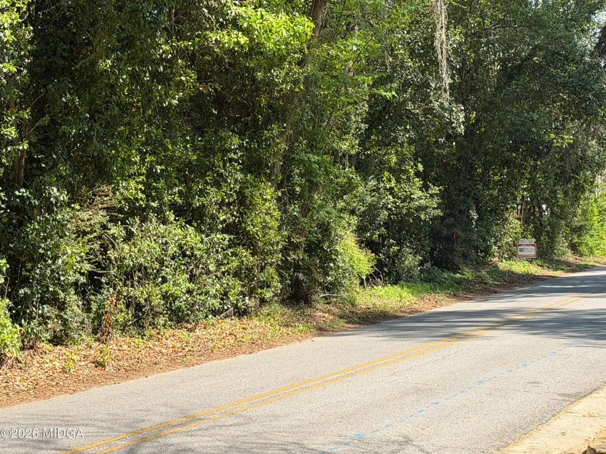 3821 Overlook Avenue, Macon, GA 31204 - #1