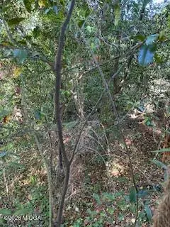 3746 Overlook Avenue, Macon, GA 31204 - #2