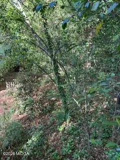 3746 Overlook Avenue, Macon, GA 31204 - #3