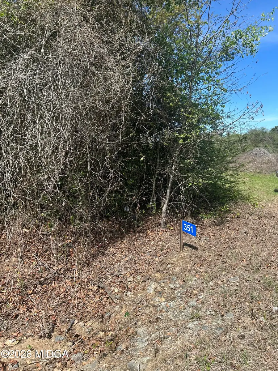 0 Cochran Highway, Hawkinsville, GA 31036 - #3