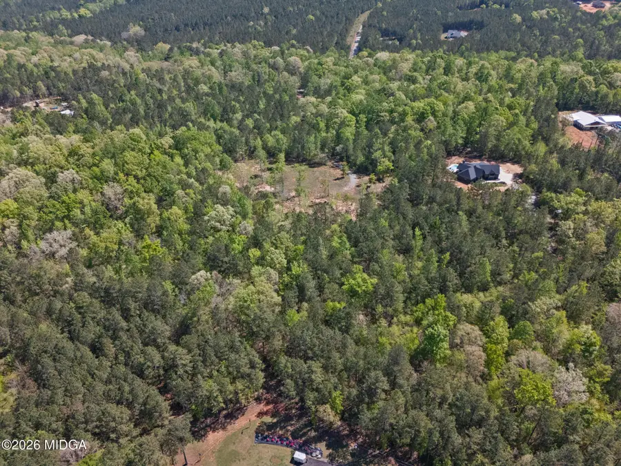 302 Goodwyne Road, Forsyth, GA 31029 - #2