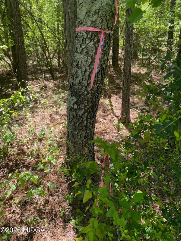 0 Maynards Mill Road #Parcel 7, Forsyth, GA 31029