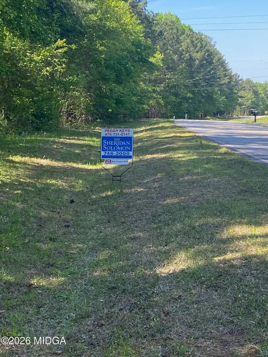 0 Maynards Mill Road #Parcel 7, Forsyth, GA 31029 - #3