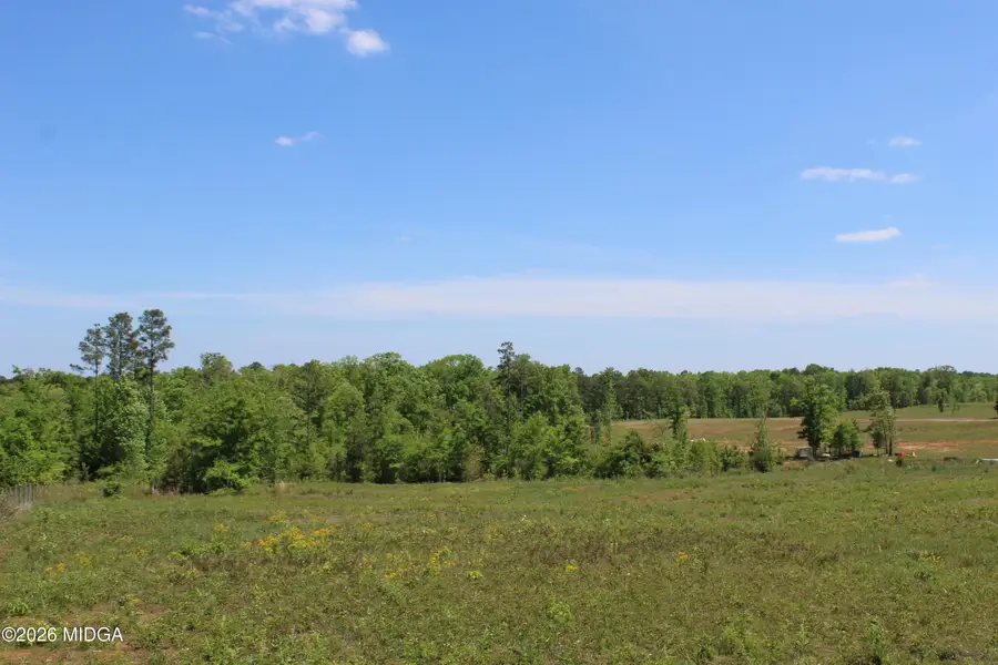 157 Jordan Bottom Road, Culloden, GA 31016 - #3