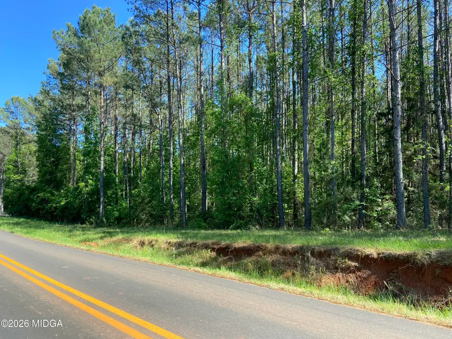 711 Mccommon Road, Forsyth, GA 31029 - #3