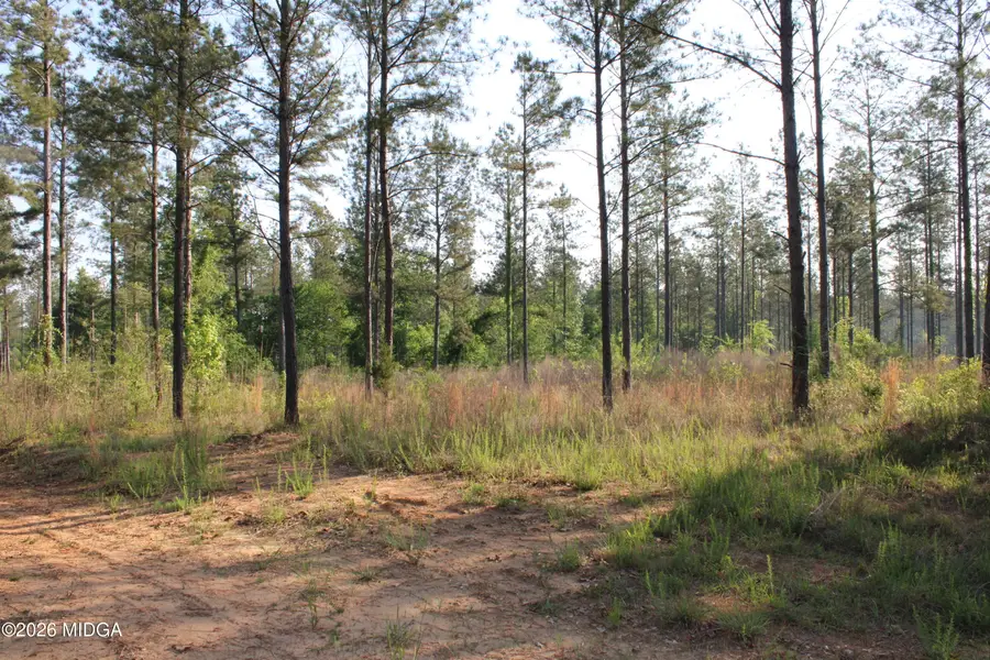 0 Watson Road E #7, Forsyth, GA 31029 - #2