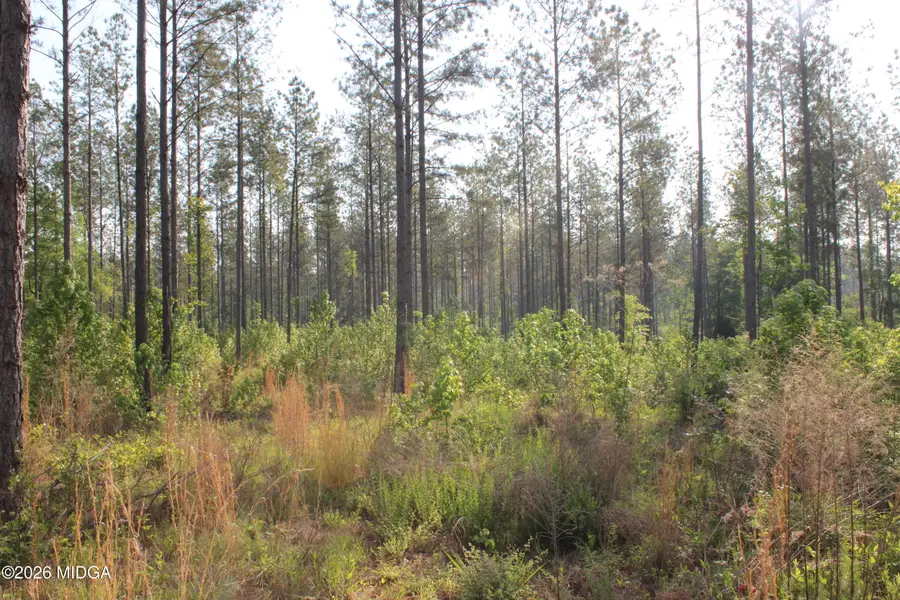 0 Watson Road E #7, Forsyth, GA 31029 - #3