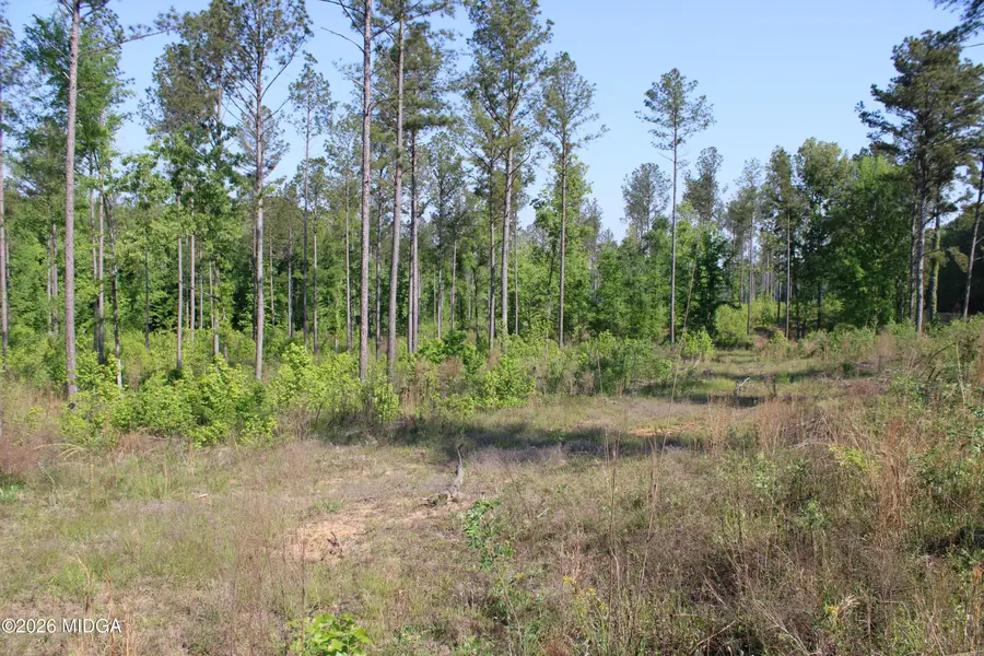 0 Hwy 87 #Tract 1, Forsyth, GA 31029 - #3