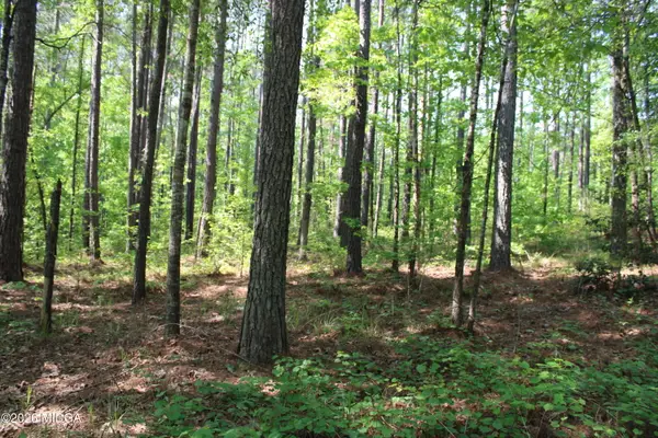 00 Hwy 87 Tract 2, Forsyth, GA 31029