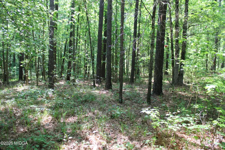 00 Hwy 87 Tract 2, Forsyth, GA 31029 - #2