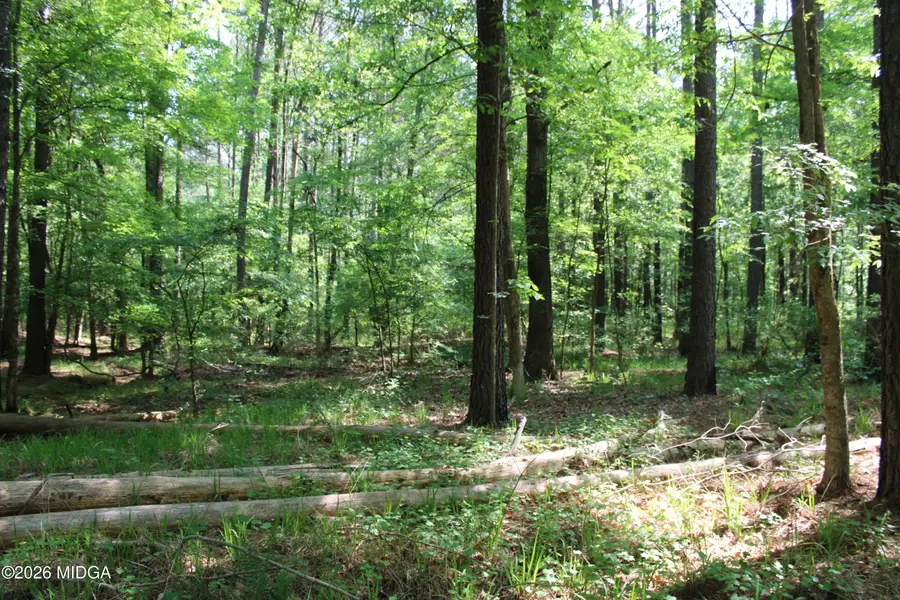 00 Hwy 87 Tract 2, Forsyth, GA 31029 - #3