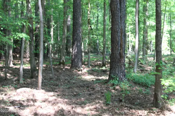 000 Hwy 87 Tract 3, Forsyth, GA 31029