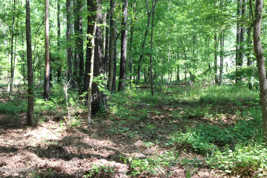 000 Hwy 87 Tract 3, Forsyth, GA 31029 - #2