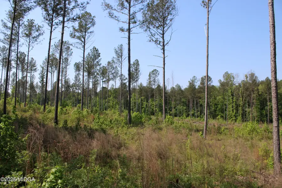 000 Hwy 87 Tract 3, Forsyth, GA 31029 - #3