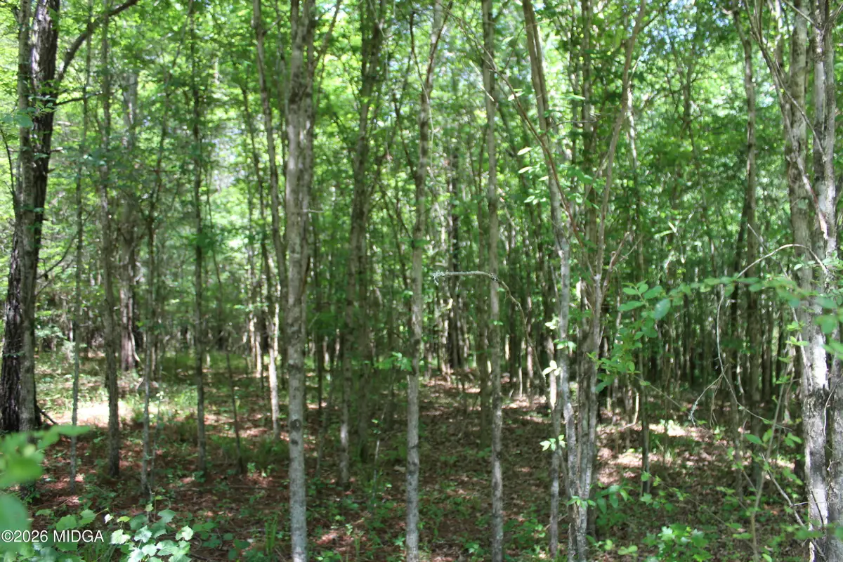 Lot 5 Jenkins Road, Forsyth, GA 31029 - #1