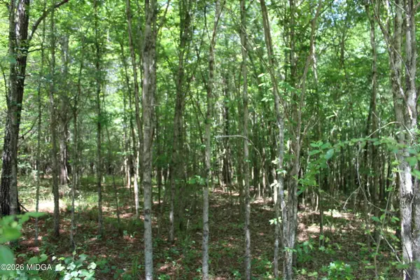 Lot 5 Jenkins Road, Forsyth, GA 31029