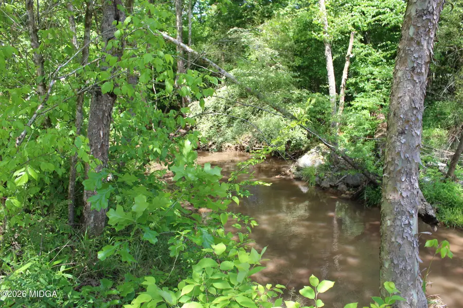 Lot 5 Jenkins Road, Forsyth, GA 31029 - #3