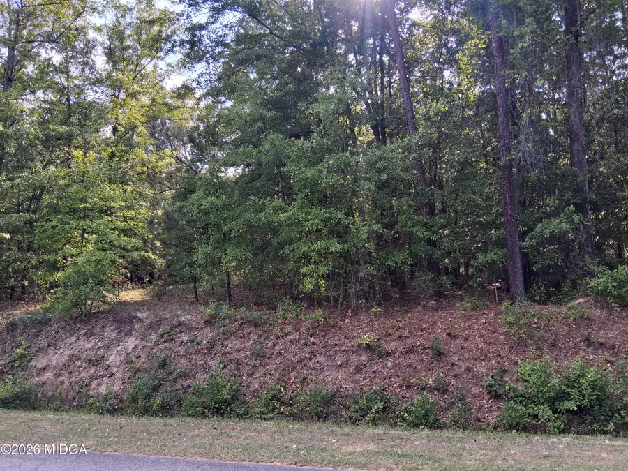 6361 Britt Road, Macon, GA 31216 - #2