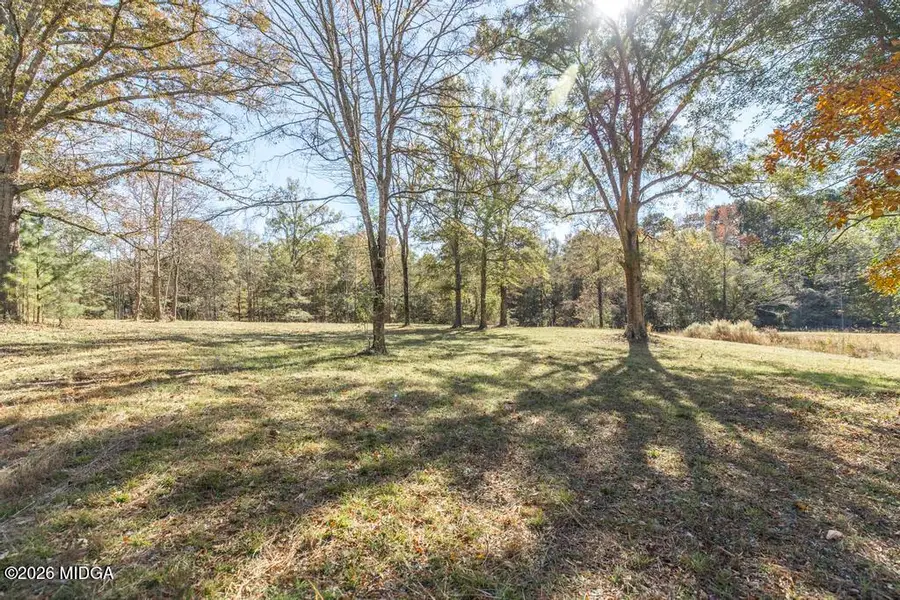 1701 Blue Springs Road, Buckhead, GA 30625 - #2