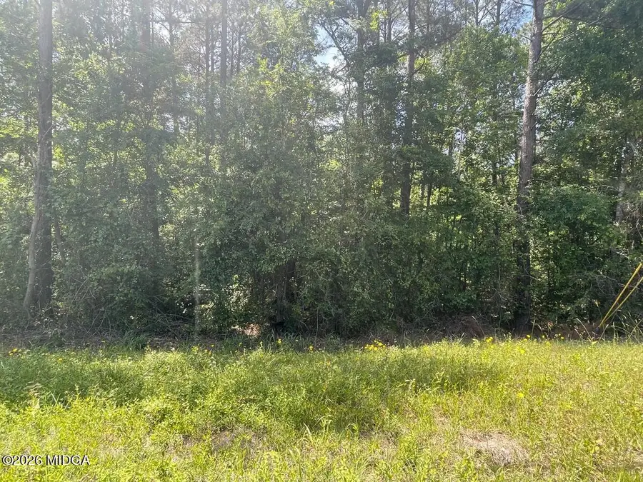 - Gray Road Sw, Eatonton, GA 31024 - #3