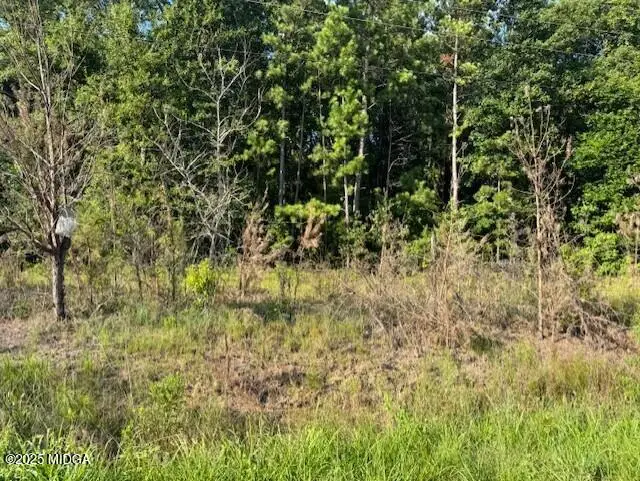 8641 Hopewell Road, Lizella, GA 31052 - #1
