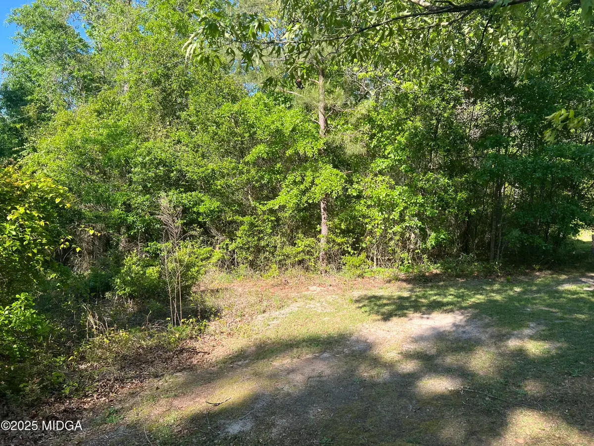0 Michael Court, Bonaire, GA 31005 - #1
